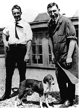 14 kasım dünya diyabet günü – çocuklarda diyabet