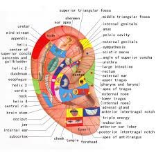 Akupunkturun etki mekanizması