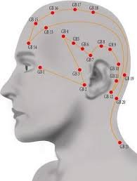 Akupunkturun tarihçesi ve türkiye’de  akupunktur