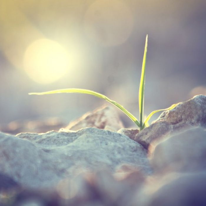 ‘’Ben deli miyim’’ ‘’Kendi kendime hallederim’’