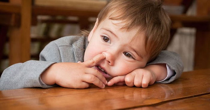 Çocuğum Çek Elini Burnundan Değil!