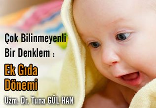 Çok bilinmeyenli bir denklem:     ek gıda dönemi