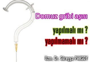 Domuz gribi aşısı yapılmalı mı yapılmamalı mı ?