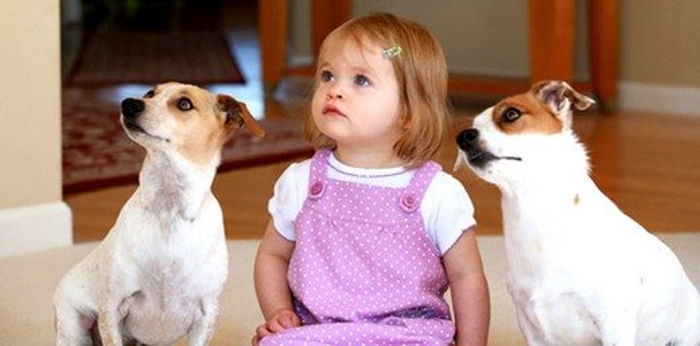 Evde Hayvan Beslemenin Çocukların Gelişimine Katkıları