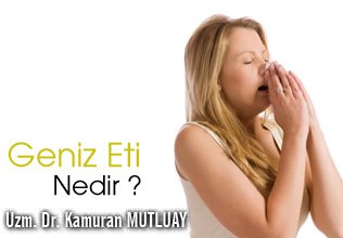 Geniz eti nedir?