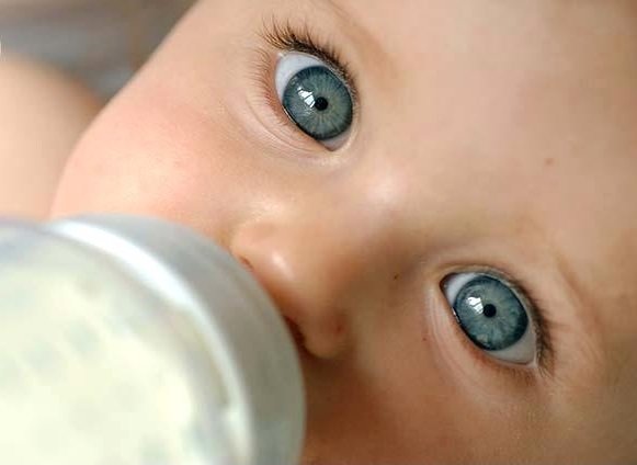 İnek sütü mü? Keçi sütü mü?