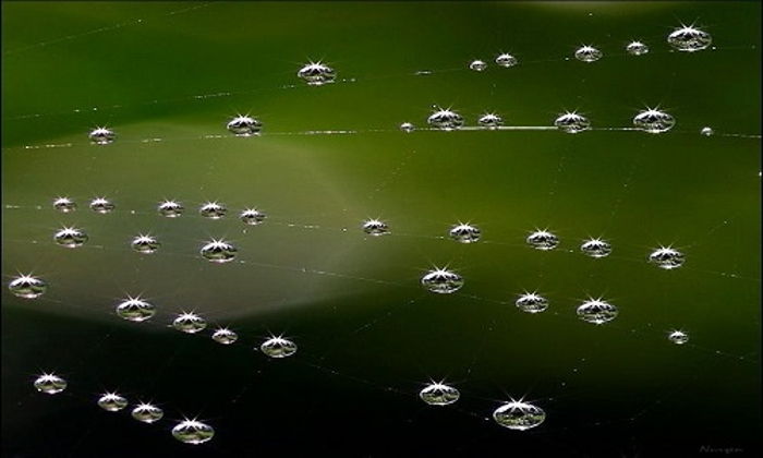 İntiharlara Tedbir Alınabilir mi?