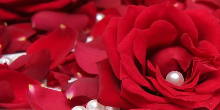 Kadın Olmanın Dayanılmaz Yüceliği