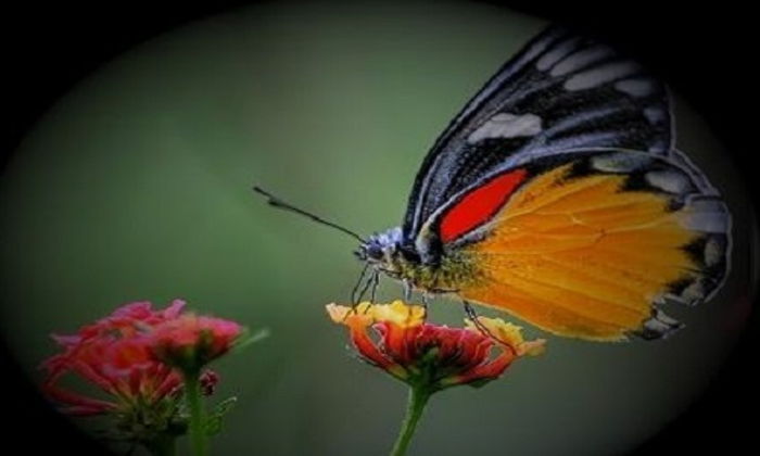 Ruh Sağlığımızın Önemi