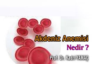 Akdeniz anemisi nedir