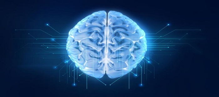 Beyinde Dikkat Ağları