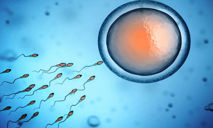 Erkek İnfertilitesi ve Tanı ile Tedavide Yeni Bir Seçenek