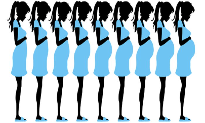 HAFTA HAFTA GEBELİK