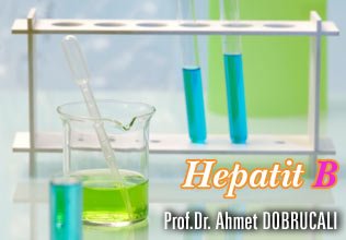 Hepatit b