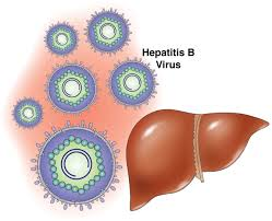 Hepatit b – c ?