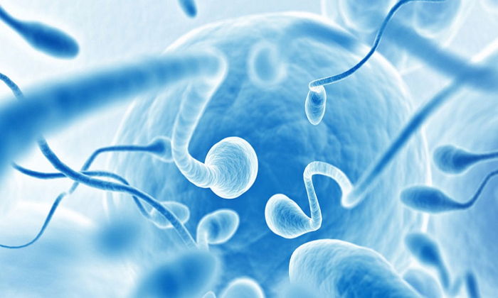 İnfertilite – Kısırlık