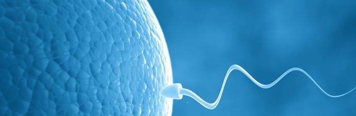 Mini Tüp Bebek Nedir ?