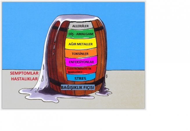 Neden hasta oluyoruz? Yoksa “bağışıklık fıçımız” mı doldu?