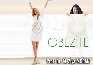 Obezite ve nedenleri