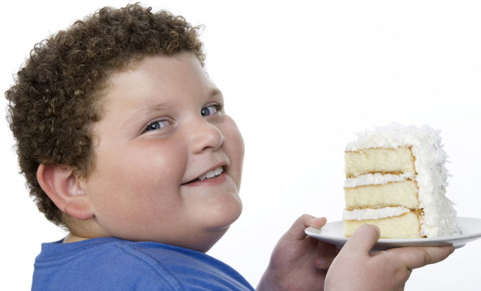 Obezitenin Nedenleri