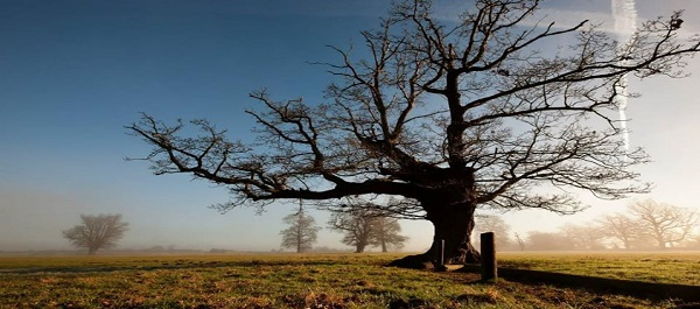 Ölüm İçgüdüsü, Gerçeklik ve Haz İlkesi