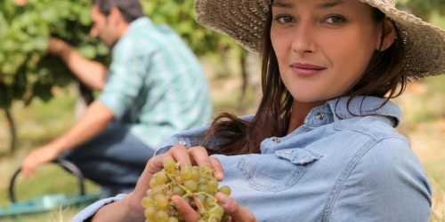 Yavaş yemek yemek nasıl kilo kaybettirir?